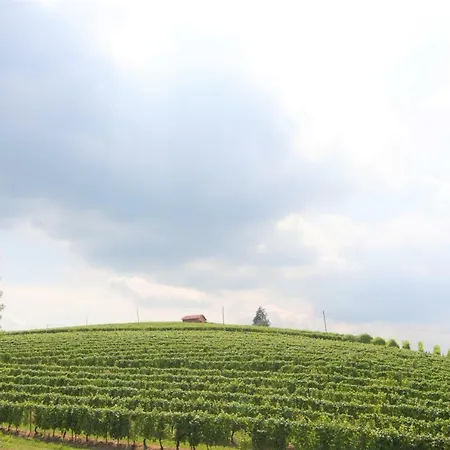 Frühstückspension Da Laura E Aldo